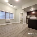 1 bedroom apartment for rent in Gold Coast - Central, Chicago