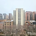 1 bedroom apartment for rent in Gold Coast - Central, Chicago