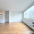 Studio Apartment for rent in Gold Coast - Central, Chicago