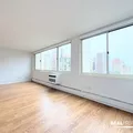 Studio Apartment for rent in Gold Coast - Central, Chicago