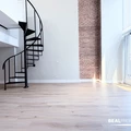 1 bedroom apartment for rent in Gold Coast - Central, Chicago