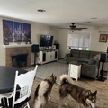 Room for rent in Citrus Heights #8
