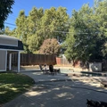 Room for rent in Citrus Heights #10