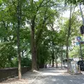 1 bedroom apartment for rent in Upper East Side - Manhattan, New York