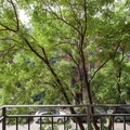 1 bedroom apartment for rent in East Village - Manhattan, New York