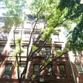 1 bedroom apartment for rent in West Village - Manhattan, New York