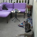 Room for rent in Santa Barbara #18
