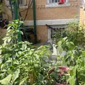 2 bedrooms apartment for rent in Jamaica - Queens, New York