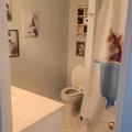 Room for rent in Arlington #4