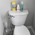 Room for rent in Valrico #13