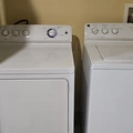 Room for rent in Valrico #12