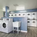 Studio Apartment for rent in Riverdale - The Bronx, New York