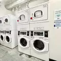 3 bedrooms apartment for rent in Harlem - Manhattan, New York