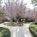 1 bedroom apartment for rent in Kingsbridge Heights - The Bronx, New York