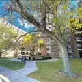 Studio Apartment for rent in The Bronx - The Bronx, New York