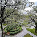 Studio Apartment for rent in The Bronx - The Bronx, New York