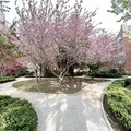 1 bedroom apartment for rent in Kingsbridge Heights - The Bronx, New York
