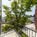 2 bedrooms apartment for rent in Flatbush Ditmas Park - Brooklyn, New York