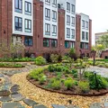 1 bedroom apartment for rent in Williamsburg - Brooklyn, New York