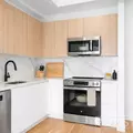 1 bedroom apartment for rent in Downtown Brooklyn - Brooklyn, New York