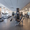 3 bedrooms apartment for rent in LIC - Queens, New York