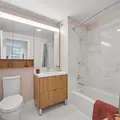 1 bedroom apartment for rent in LIC - Queens, New York