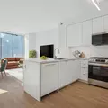 1 bedroom apartment for rent in LIC - Queens, New York