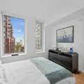1 bedroom apartment for rent in LIC - Queens, New York