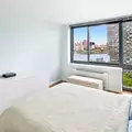 1 bedroom apartment for rent in LIC - Queens, New York
