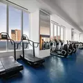 2 bedrooms apartment for rent in LIC - Queens, New York