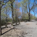 1 bedroom apartment for rent in Upper West Side - Manhattan, New York
