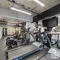 1 bedroom apartment for rent in Flatbush Ditmas Park - Brooklyn, New York