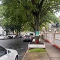 3 bedrooms apartment for rent in Jamaica - Queens, New York