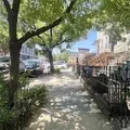 2 bedrooms apartment for rent in Crown Heights - Brooklyn, New York