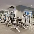1 bedroom apartment for rent in Tribeca - Manhattan, New York