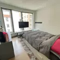 1 bedroom apartment for rent in FiDi - Manhattan, New York