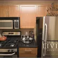 1 bedroom apartment for rent in FiDi - Manhattan, New York