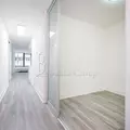 1 bedroom apartment for rent in FiDi - Manhattan, New York