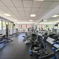 1 bedroom apartment for rent in Sunnyside - Queens, New York
