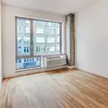 1 bedroom apartment for rent in Williamsburg - Brooklyn, New York