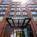 1 bedroom apartment for rent in Flushing - Queens, New York