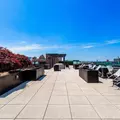 1 bedroom apartment for rent in Flushing - Queens, New York