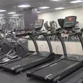 1 bedroom apartment for rent in Jamaica - Queens, New York