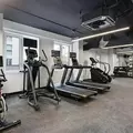 1 bedroom apartment for rent in Downtown Brooklyn - Brooklyn, New York