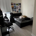 Room for rent in Clanton Park #2