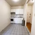 1 bedroom apartment for rent in LIC - Queens, New York