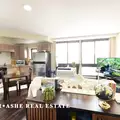 Studio Apartment for rent in Harlem - Manhattan, New York