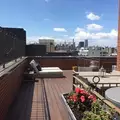 Studio Apartment for rent in Harlem - Manhattan, New York
