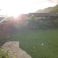 Room for rent in Kalihi Valley #9