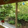 Room for rent in Kalihi Valley #6